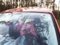 Frau versucht, die vereiste Autoscheibe innen freizukratzen. Tipps zur Vorbeugung von vereister Autoscheibe innen.
