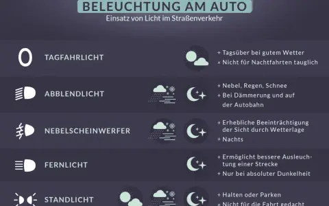 Das Bild zeigt Symbole für verschiedene Autolichter. Das **Abblendlicht**-Symbol wird bei Nebel, Regen, Schnee und in der Dämmerung genutzt.