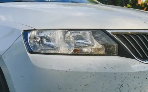 Vorderseite eines weißen Autos mit vielen Insektenresten. Ein Hausmittel für Insektenentferner am Auto wäre hier nützlich.