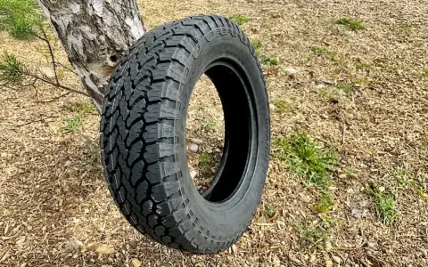 Ein grobstolliger Reifen lehnt an einem Baum. Perfekt für den nächsten reifen test im Gelände.