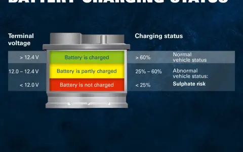 AGM Batterie Spannung: über 12,4V ist sie geladen, 12,0-12,4V teilweise, unter 12,0V nicht geladen.