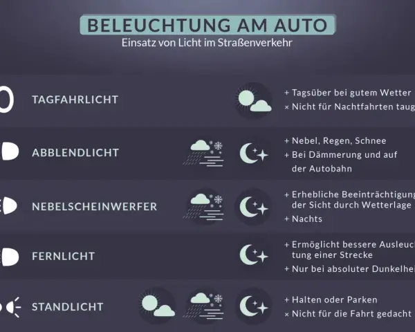 Das Bild zeigt Symbole für verschiedene Autolichter. Das **Abblendlicht**-Symbol wird bei Nebel, Regen, Schnee und in der Dämmerung genutzt.