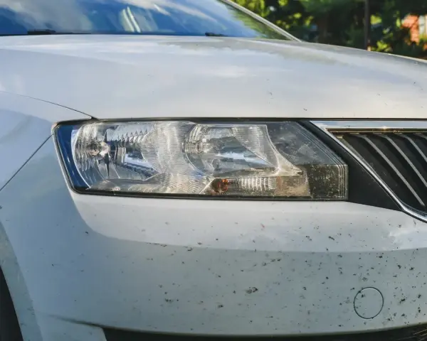 Vorderseite eines weißen Autos mit vielen Insektenresten. Ein Hausmittel für Insektenentferner am Auto wäre hier nützlich.