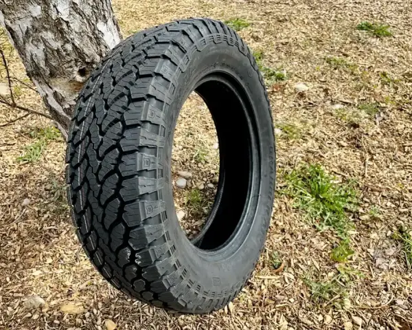 Ein grobstolliger Reifen lehnt an einem Baum. Perfekt für den nächsten reifen test im Gelände.