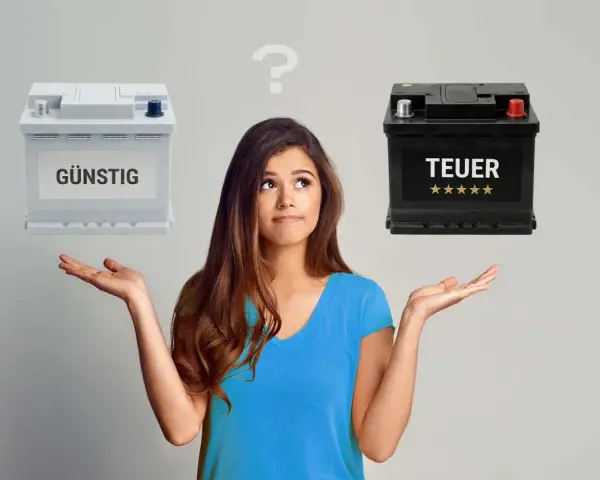 Frau überlegt, ob sie eine günstige oder teure sli batterie wählen soll.