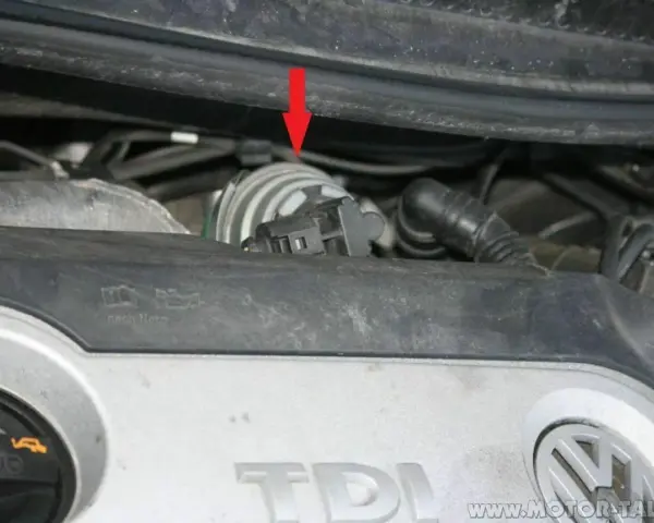 Roter Pfeil zeigt auf ein Bauteil im Motorraum. Mögliche abgasdrucksensor defekt symptome können hier ihren Ursprung haben.