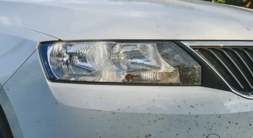Vorderseite eines weißen Autos mit vielen Insektenresten. Ein Hausmittel für Insektenentferner am Auto wäre hier nützlich.
