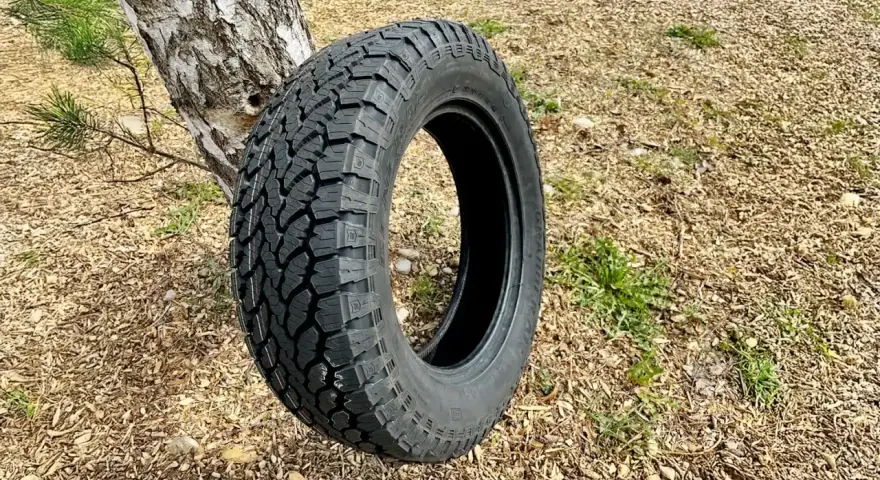 Ein grobstolliger Reifen lehnt an einem Baum. Perfekt für den nächsten reifen test im Gelände.